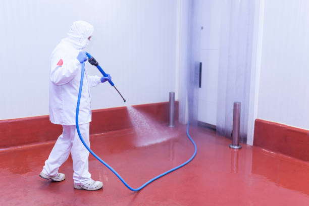 Trusted Westgate, FL Pressure Washing Experts